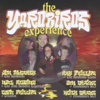 The Yardbirds Experience - British Thunder