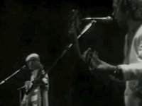 The Vultures Fly High